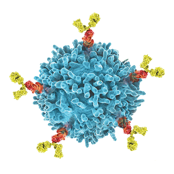 远泰生物/ProMab超级CAR-NK等多项新技术平台即将亮相2024 AACR